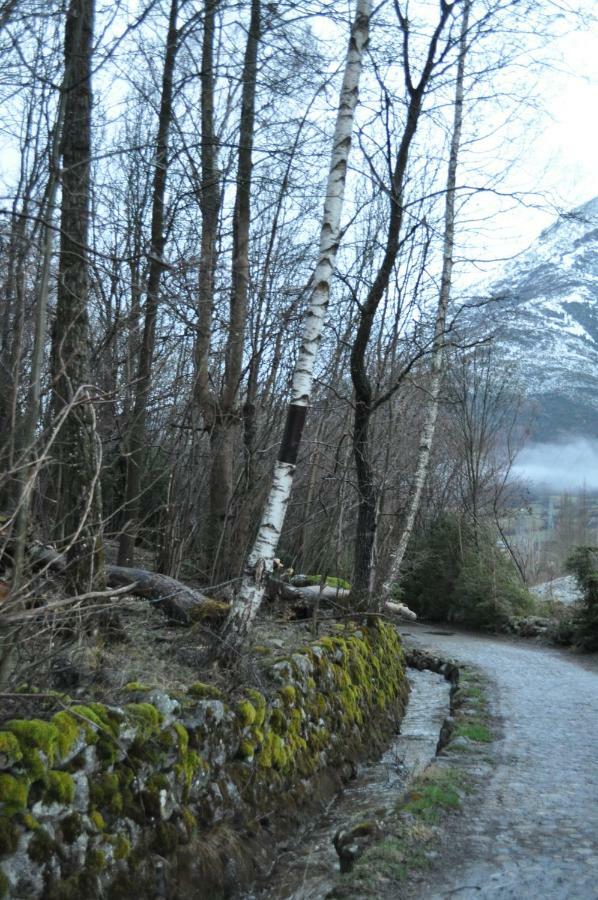 Residencial Valle De Benasque Eksteriør bilde